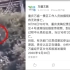 重庆旅游局回应女子高空索道坠落死亡：已停运全部速滑项目