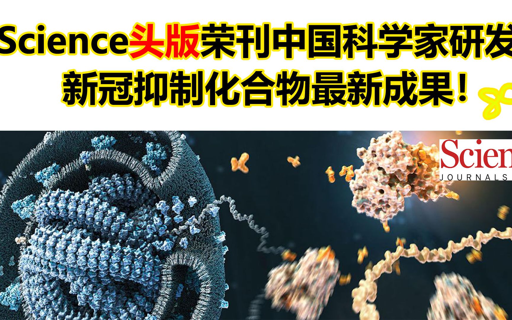 Science头版封面！中国新冠疫苗实验结果喜人！