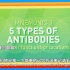 人体五种抗体及其功能