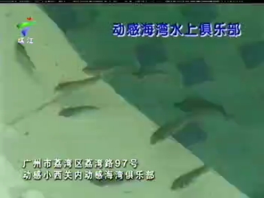 珠江商讯-动感海湾水上俱乐部