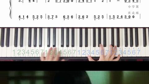 蒲公英的约定双手简谱_蒲公英的约定简谱(3)