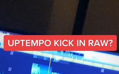 看来这种Rawtempo Kicks已经逐渐成为主流了