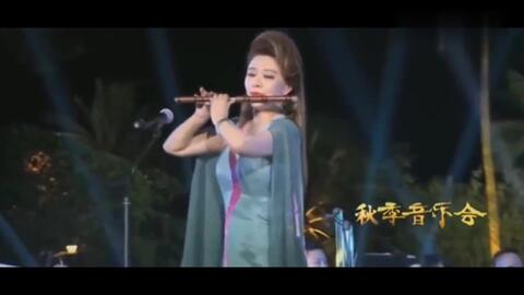 鹧鸪飞陆春龄版动态曲谱_动态手机壁纸
