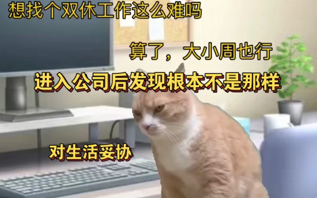 关于00后在杭州找到了一份不加班还双休的神仙工作！有五险一金！公司还养了几只猫，上班还可以穿jk和lo裙，是一家对二次元很友好的卡牌公司。