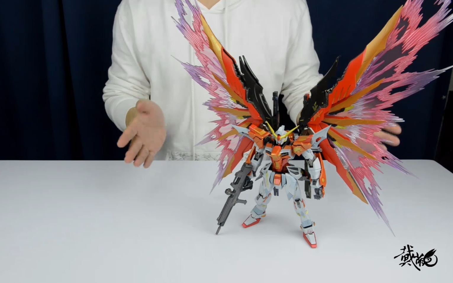 【最速开封】万代mb 大到没处搁啊!命运光翼【高达seed destiny】