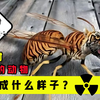 动物感染核辐射后，样子会发生怎样的变化、看着有多可怕？#核辐射 #变异动物