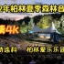 【超清4K】2022年柏林夏季森林音乐会 - 柏林爱乐乐团 (指挥 彼特连科) 2022.06.25