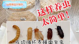 a74d1227f5f206c4b9fda1ce45313056c2d9cb1c.jpg@336w_190h_1c.jpg