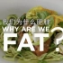 【超清】我们为什么肥胖【3集全】