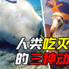 盘点被人类吃灭绝的动物，从50亿到1只不剩，仅用百年时间