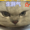 生胖气 坏女人 你等着