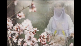 同道殊途古筝简谱_同道殊途简谱(5)