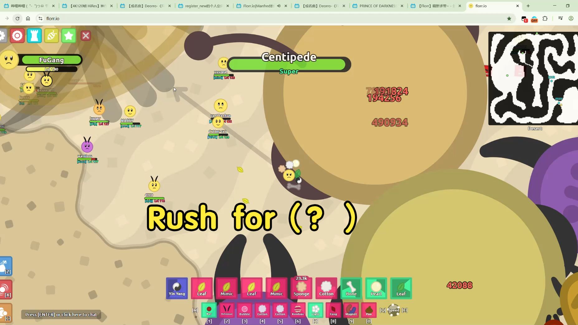 【Florr】Rush to km over Q Heavy！