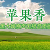 《苹果香》（黑大婶）无损音质完整版