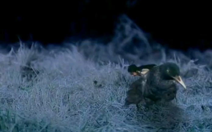 天外飞仙主题曲