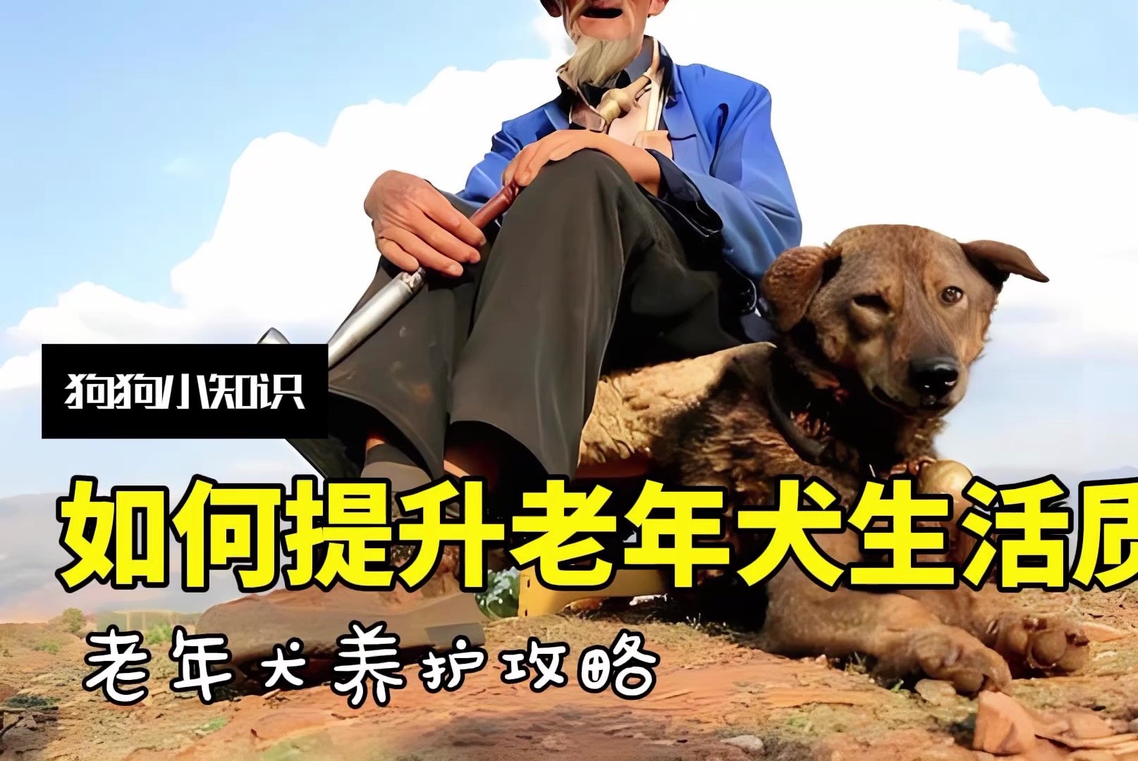 如何养好老年犬？老年犬粮和全价粮有什么区别？