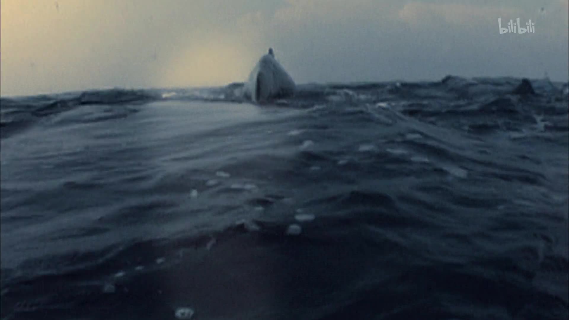 【纪录片】白鲸：巨鲸之心-Moby Dick: Heart of a Whale