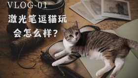 激光笔逗猫视频 a7c8cd0667572a0e4802947e695a30897cd317ae.jpg@280w_158h_1c_100q.jpg