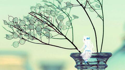a7d4b82e35bc76b48b8ed2ae7116ace02249c442.jpg@480w_270h_1c