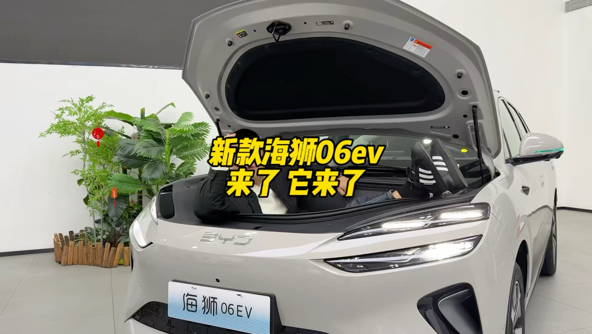 你想知道的都在里面