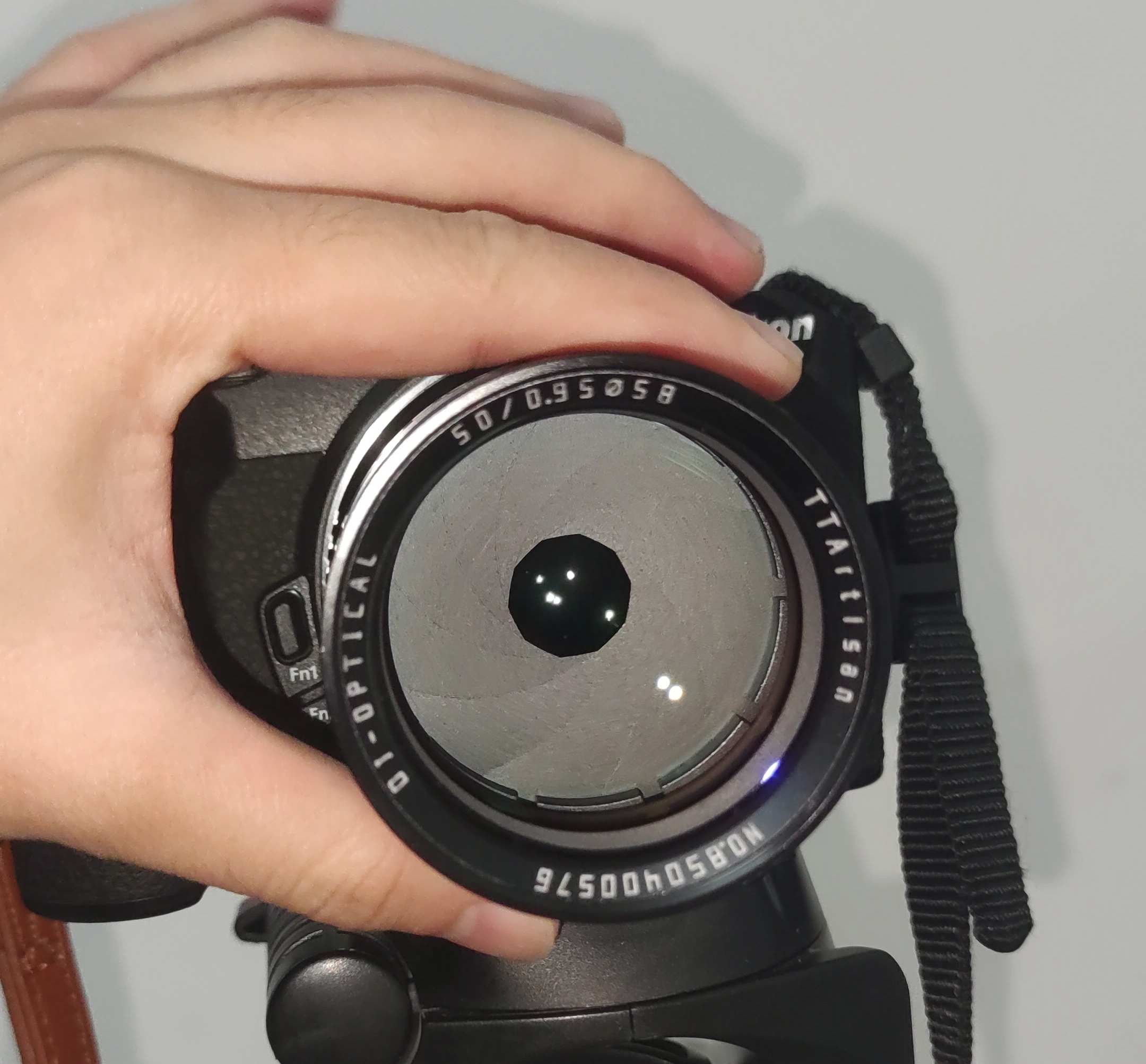 贫民组合，我的尼康z30第一颗大光圈镜头，铭匠50mm f0.95 卡姿兰大眼睛