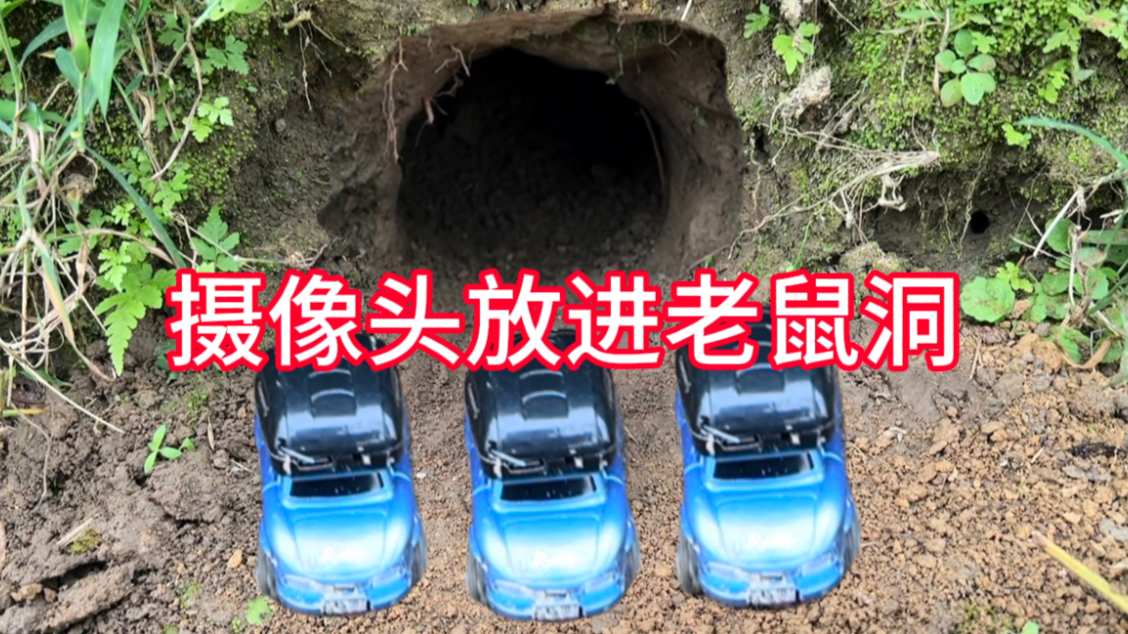 将“摄像头”放进老鼠洞中，突然发现了一只老鼠，场面太刺激了