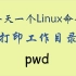 每天一个Linux命令-pwd