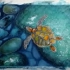 水彩画-海龟