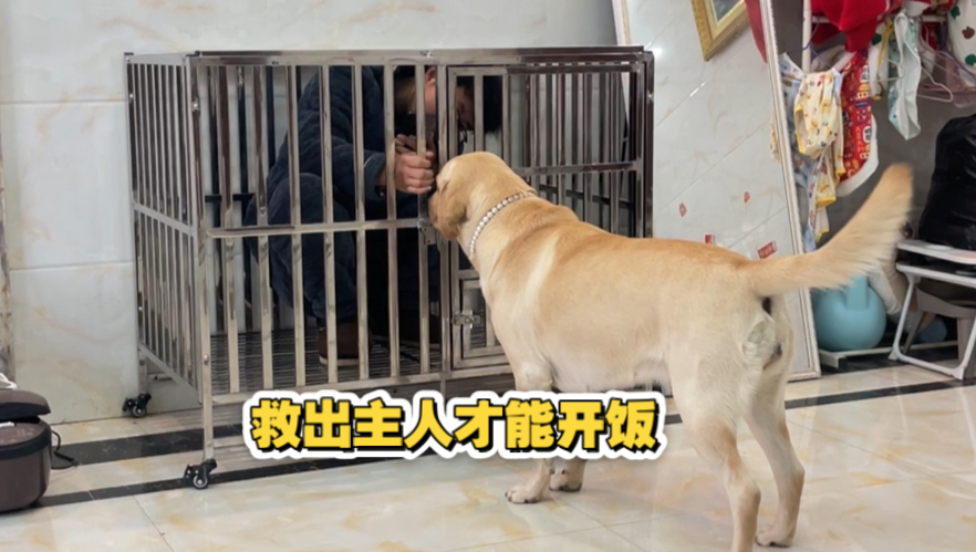 开锁救出主人才能开饭