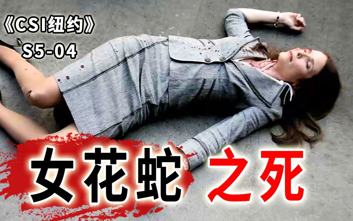色字头上一把刀，所有政客都想杀死的女人，究竟有什么魔力？《CSI纽约》S5-04