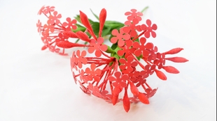 医治的爰的简谱_小星星简谱(3)