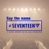 【seventeen 1080P】2017 Japan Concert Say the name #seventeen 