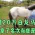 西藏人为何那么富裕，一匹汗血宝马就价值几十万，把马当宠物养ht