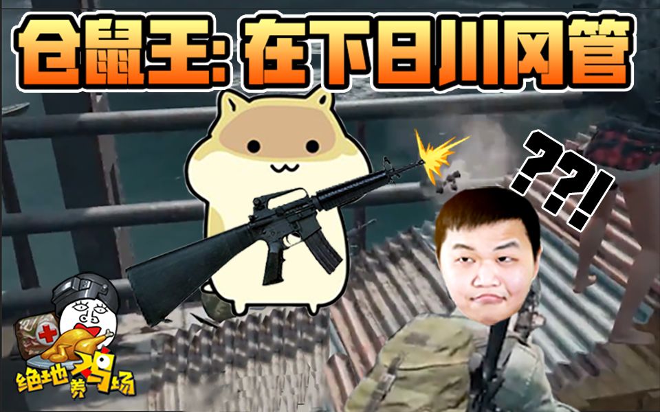 还是求生:绝地墙改日钢管了原来仓鼠果然的不日王小型鹦鹉哪些会说话吗图片