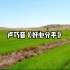 【无损音质】4K 卢巧音《好心分手》