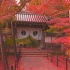 京都 光明寺の紅葉をゆっくり味わう Kyoto, Komyoji in Autumn
