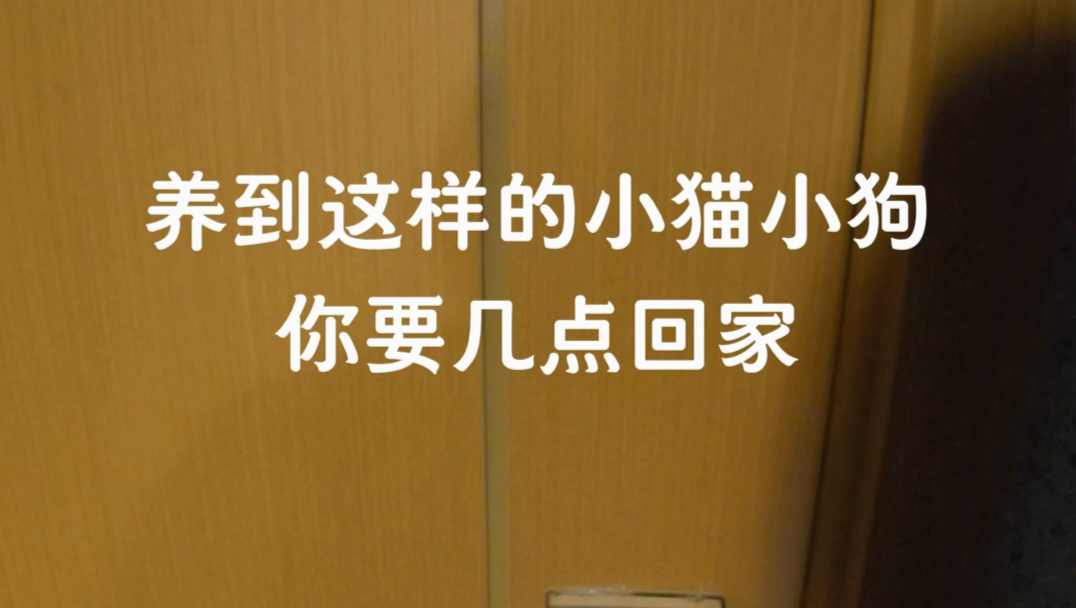 小猫小狗：“爸爸你疯了吗？这枪是你的吗你就拿？？”