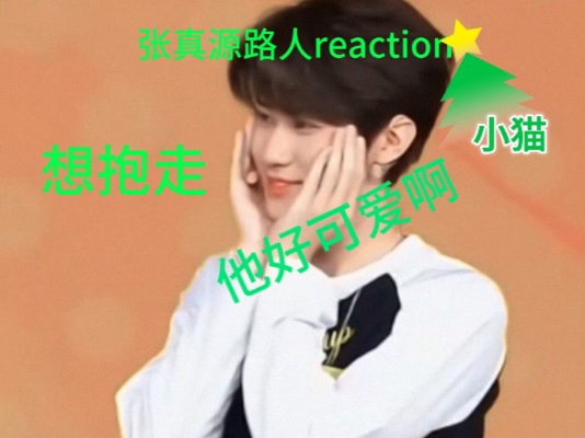 [张真源半路人reaction]可爱的小猫，好想把他抱走