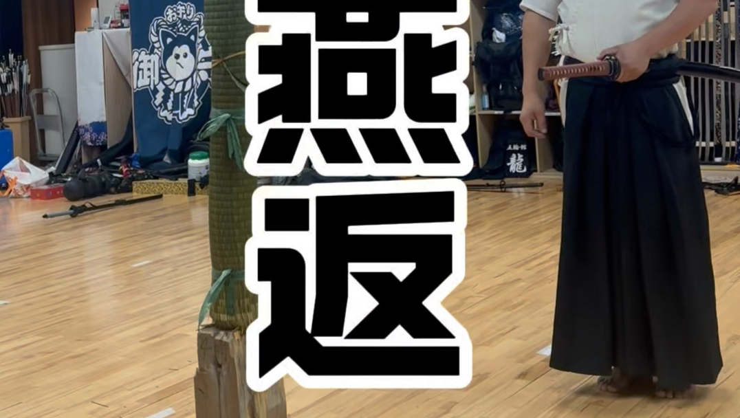 真正的“燕返”（你们都练错了）