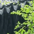 【素材分享 | 古风空镜】花，落雨，飘雪，芦苇，竹林，河灯，锦鲤 ……