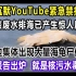 日本核废水排海已产生惊人后果！海岸边集体出现大量海龟尸体！化验报告出炉，就是核污水造成的！