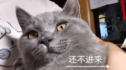 a8bf32a3461fbbaa6029294983126b0b59abbbd8.jpg@480w_270h_1c