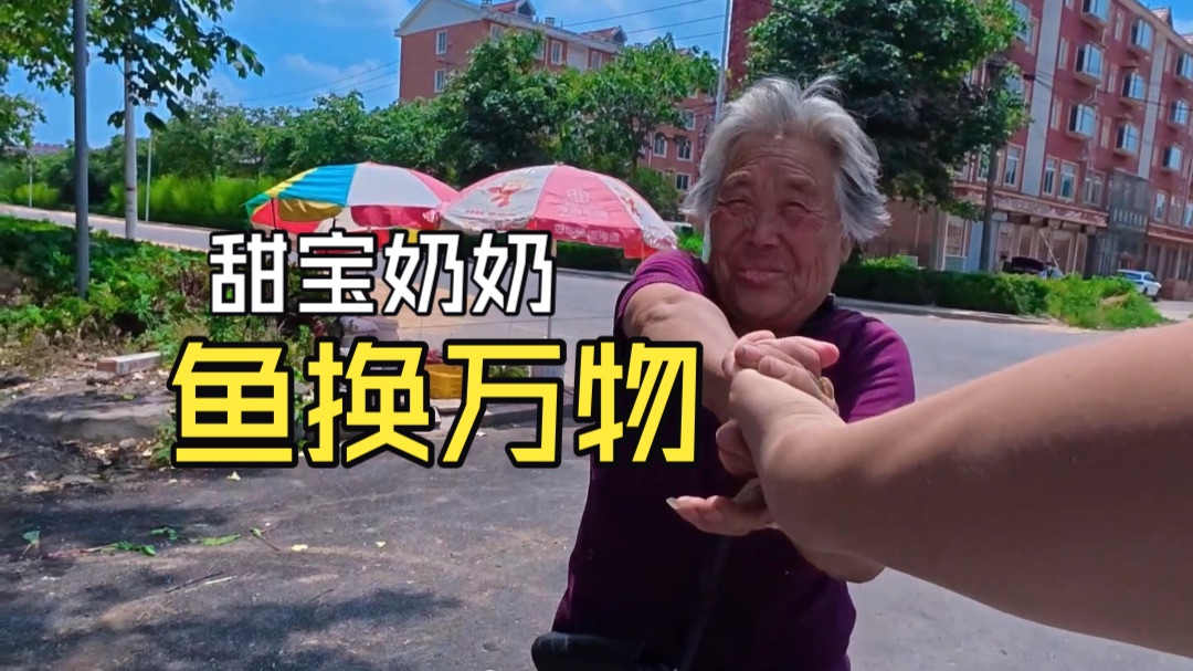 鱼换万物之甜宝回归