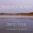 【David Tolk 】 瓦尔登湖   Walden Pond