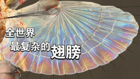 a8eef733c86355c737a28eee9a663ccae9acd88c.jpg@280w_158h_1c_100q.jpg