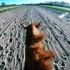 【GoPro】以70公里/小时的速度策马奔腾是什么感觉？