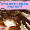 帝王蟹在挪威泛滥没人吃，而国内可以卖到几千块