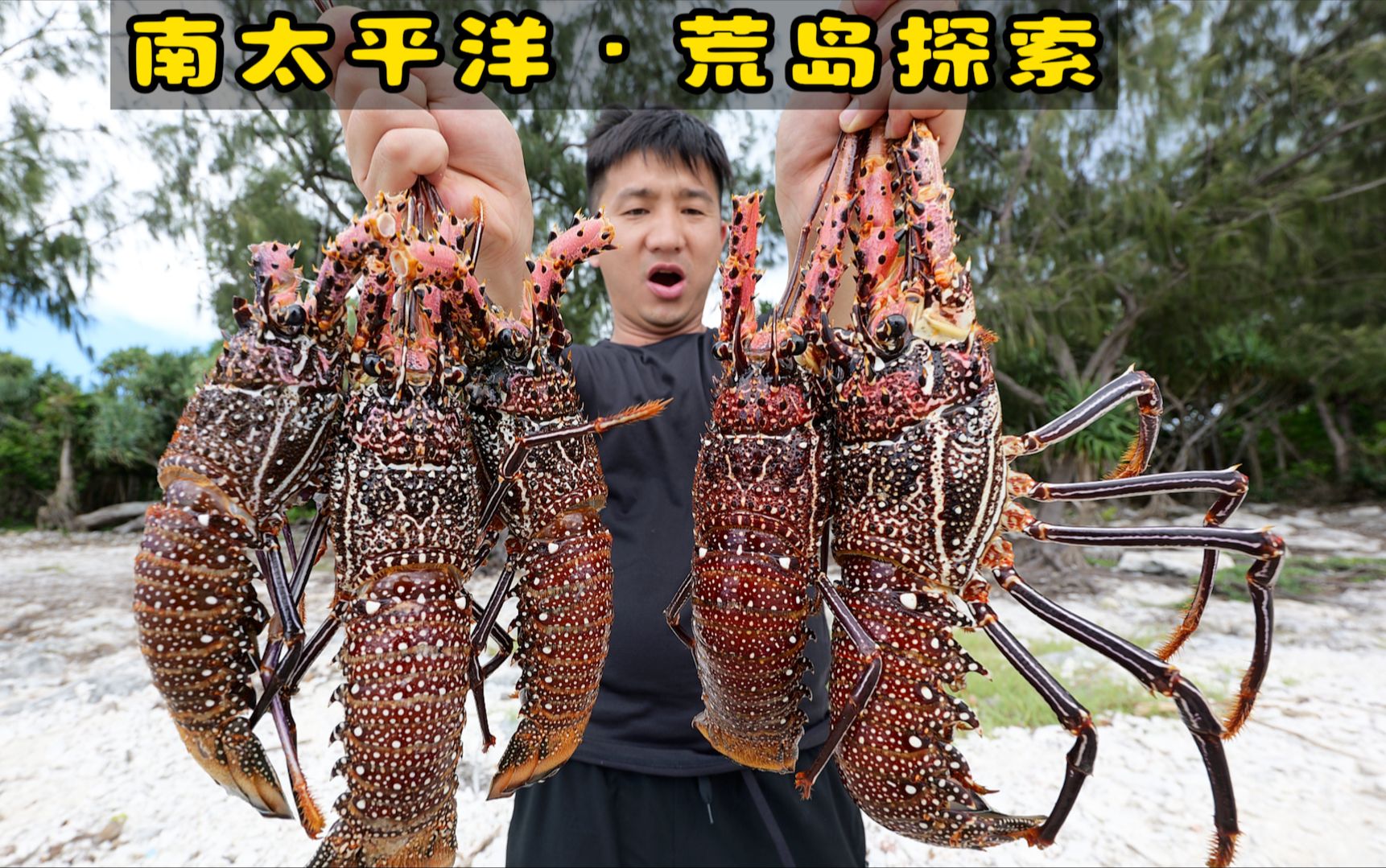 瓦努阿图（荒岛版）第1集：两天一夜，探索南太平洋无人岛，只为找到传说中的“牢底坐穿贝”