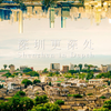 深圳40周年国际形象片 深圳更深处 Shenzhen in Depth