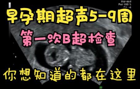 医学超声检查||早孕期超声||第一次B超检查||妊娠5-9周